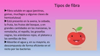 Fibra soluble en agua (pectinas,
gomas, mucílagos y algunas clases de
hemicelulosa)
Está presente en la avena, la cebada,
la fruta, los frutos del bosque, y en
grandes cantidades en las manzanas, la
remolacha, el repollo, las grosellas
negras, los arándanos rojos, el platano y
las semillas de lino
Absorbe el agua y, en su mayoría, es
descompuesta de forma eficiente en el
recto por las bacterias
Tipos de fibra
 