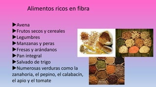 Alimentos ricos en fibra
Avena
Frutos secos y cereales
Legumbres
Manzanas y peras
Fresas y arándanos
Pan integral
Salvado de trigo
Numerosas verduras como la
zanahoria, el pepino, el calabacín,
el apio y el tomate
 