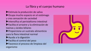 La fibra y el cuerpo humano
Estimula la producción de saliva
Ocupa mucho espacio en el estómago
y crea sensación de saciedad
Intensifica el peristaltismo intestinal
Facilita el arrastre y la eliminación de
toxinas y ácidos biliares
Proporciona un sustrato alimenticio
para la flora intestinal normal
Ayuda a la digestión
Facilita el control del peso
Favorece el proceso de limpieza del
organismo
 