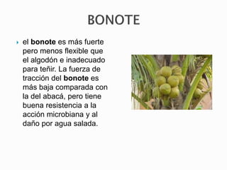  el bonote es más fuerte
pero menos flexible que
el algodón e inadecuado
para teñir. La fuerza de
tracción del bonote es
más baja comparada con
la del abacá, pero tiene
buena resistencia a la
acción microbiana y al
daño por agua salada.
 