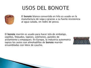 El bonote blanco convertido en hilo es usado en la
manufactura de soga y gracias a su fuerte resistencia
al agua salada, en redes de pesca.
El bonote marrón es usado para hacer tela de embalaje,
cepillos, felpudos, tapices, colchones, paneles de
aislamiento y empaques. En Europa, la industria automotriz
tapiza los autos con almohadillas de bonote marrón
ensambladas con látex de caucho.
 