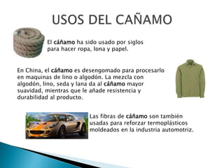 El cáñamo ha sido usado por siglos
para hacer ropa, lona y papel.
En China, el cáñamo es desengomado para procesarlo
en maquinas de lino o algodón. La mezcla con
algodón, lino, seda y lana da al cáñamo mayor
suavidad, mientras que le añade resistencia y
durabilidad al producto.
Las fibras de cáñamo son también
usadas para reforzar termoplásticos
moldeados en la industria automotriz.
 