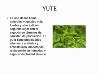  Es una de las fibras
naturales vegetales más
fuertes y sólo está en
segundo lugar con el
algodón en términos de
cantidad de producción. El
yute tiene propiedades
altamente aislantes y
antiestáticas, moderadas
reabsorción de humedad y
baja conductividad térmica.
 