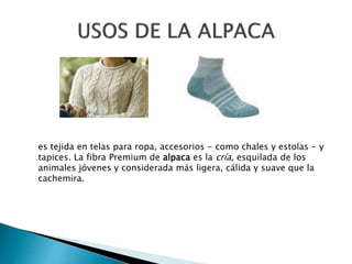 es tejida en telas para ropa, accesorios - como chales y estolas - y
tapices. La fibra Premium de alpaca es la cría, esquilada de los
animales jóvenes y considerada más ligera, cálida y suave que la
cachemira.
 