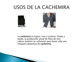 La cachemira es lujosa, rara y costosa: hilada y
tejida, la producción anual de fibra de seis
cabras kashmir es suficiente para hacer sólo una
chaqueta deportiva de cachemira.
 