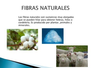 Las fibras naturales son sustancias muy alargadas
que se pueden hilar para obtener hebras, hilos o
cordelería. Es producido por plantas ,animales y
minerales.
 