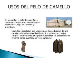 En Mongolia, el pelo de camello es
usado por los pastores nómadas para
hacer yurtas,ropa de invierno y
alfombras.
Los hilos exportados son usados para la producción de una
amplia variedad de prendas de vestir – sobretodos, trajes,
abrigos, chaquetones, chaquetas y suéteres - y accesorios de
invierno como guantes, gorros y bufandas.
 