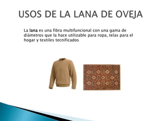 La lana es una fibra multifuncional con una gama de
diámetros que la hace utilizable para ropa, telas para el
hogar y textiles tecnificados
 