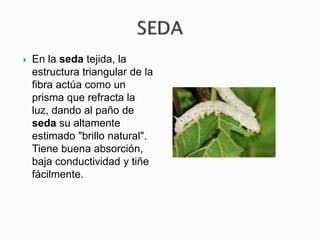  En la seda tejida, la
estructura triangular de la
fibra actúa como un
prisma que refracta la
luz, dando al paño de
seda su altamente
estimado "brillo natural".
Tiene buena absorción,
baja conductividad y tiñe
fácilmente.
 