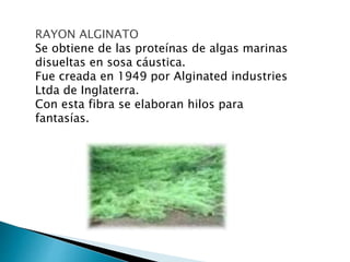 RAYON ALGINATO
Se obtiene de las proteínas de algas marinas
disueltas en sosa cáustica.
Fue creada en 1949 por Alginated industries
Ltda de Inglaterra.
Con esta fibra se elaboran hilos para
fantasías.
 