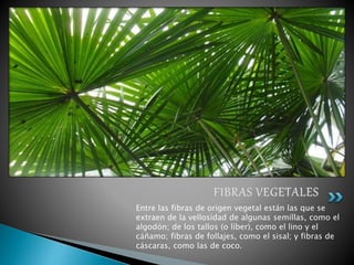 Entre las fibras de origen vegetal están las que se
extraen de la vellosidad de algunas semillas, como el
algodón; de los tallos (o líber), como el lino y el
cáñamo; fibras de follajes, como el sisal; y fibras de
cáscaras, como las de coco.
 