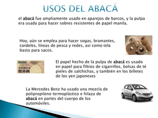 el abacá fue ampliamente usado en aparejos de barcos, y la pulpa
era usada para hacer sobres resistentes de papel manila.
Hoy, aún se emplea para hacer sogas, bramantes,
cordeles, líneas de pesca y redes, así como tela
basta para sacos.
El papel hecho de la pulpa de abacá es usado
en papel para filtros de cigarrillos, bolsas de té
pieles de salchichas, y también en los billetes
de los yen japoneses
La Mercedes Benz ha usado una mezcla de
polipropileno termoplástico e hilaza de
abacá en partes del cuerpo de los
automóviles.
 