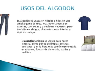 EL algodón es usada en hilados e hilos en una
amplia gama de ropa, más notoriamente en
camisas, camisetas y pantalones vaqueros, pero
también en abrigos, chaquetas, ropa interior y
ropa de trabajo.
El algodón también se utiliza para hacer
lencería, como paños de limpiar, colchas,
persianas, y es la fibra más comúnmente usada
en sábanas, fundas de almohada, toallas y
toallitas.
 