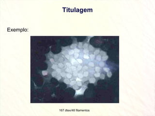 Titulagem Exemplo: 167 dtex/48 filamentos  
