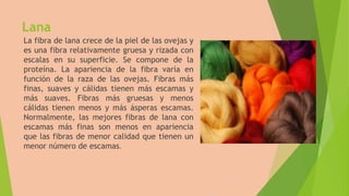 Fibras textiles | PPTX