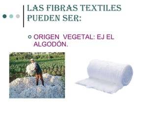 LAS FIBRAS TEXTILES PUEDEN SER: ORIGEN  VEGETAL: EJ EL ALGODÓN. 