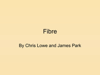 Fibre By Chris Lowe and James Park 