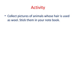 Activity 
• Collect pictures of animals whose hair is used 
as wool. Stick them in your note book. 
 