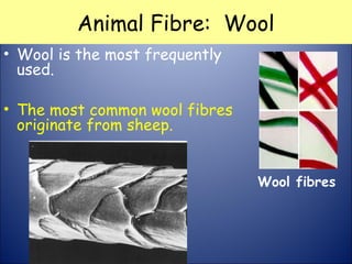 Animal Fibre: Wool
• Wool is the most frequently
used.
• The most common wool fibres
originate from sheep.
Wool fibres
 
