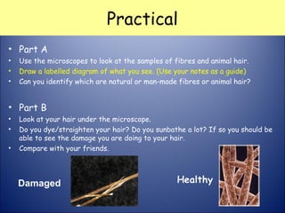 Practical
• Part A
• Use the microscopes to look at the samples of fibres and animal hair.
• Draw a labelled diagram of what you see. (Use your notes as a guide)
• Can you identify which are natural or man-made fibres or animal hair?
• Part B
• Look at your hair under the microscope.
• Do you dye/straighten your hair? Do you sunbathe a lot? If so you should be
able to see the damage you are doing to your hair.
• Compare with your friends.
Damaged
 