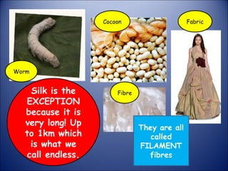 Silk is the
EXCEPTION
because it is
very long! Up
to 1km which
is what we
call endless.
They are all
called
FILAMENT
fibres
Worm
Cocoon
Fibre
Fabric
 