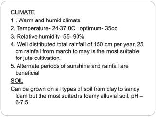 CLIMATE
1 . Warm and humid climate
2. Temperature- 24-37 0C optimum- 35oc
3. Relative humidity- 55- 90%
4. Well distributed total rainfall of 150 cm per year, 25
cm rainfall from march to may is the most suitable
for jute cultivation.
5. Alternate periods of sunshine and rainfall are
beneficial
SOIL
Can be grown on all types of soil from clay to sandy
loam but the most suited is loamy alluvial soil, pH –
6-7.5
 