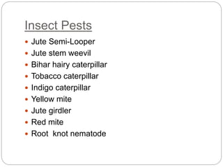 Insect Pests
 Jute Semi-Looper
 Jute stem weevil
 Bihar hairy caterpillar
 Tobacco caterpillar
 Indigo caterpillar
 Yellow mite
 Jute girdler
 Red mite
 Root knot nematode
 