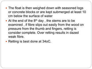  The float is then weighed down with seasoned logs
or concrete blocks or are kept submerged at least 10
cm below the surface of water
 At the end of the 8th day , the stems are to be
examined , if fibre slips out easily from the wood on
pressure from the thumb and fingers, retting is
consider complete. Over retting results in dazed
weak fibre.
 Retting is best done at 34oC.
 