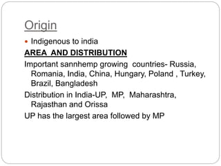 Origin
 Indigenous to india
AREA AND DISTRIBUTION
Important sannhemp growing countries- Russia,
Romania, India, China, Hungary, Poland , Turkey,
Brazil, Bangladesh
Distribution in India-UP, MP, Maharashtra,
Rajasthan and Orissa
UP has the largest area followed by MP
 