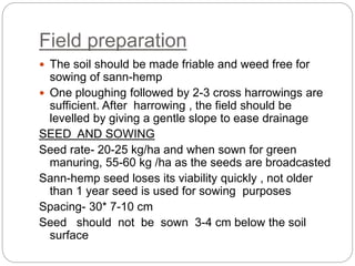 Field preparation
 The soil should be made friable and weed free for
sowing of sann-hemp
 One ploughing followed by 2-3 cross harrowings are
sufficient. After harrowing , the field should be
levelled by giving a gentle slope to ease drainage
SEED AND SOWING
Seed rate- 20-25 kg/ha and when sown for green
manuring, 55-60 kg /ha as the seeds are broadcasted
Sann-hemp seed loses its viability quickly , not older
than 1 year seed is used for sowing purposes
Spacing- 30* 7-10 cm
Seed should not be sown 3-4 cm below the soil
surface
 