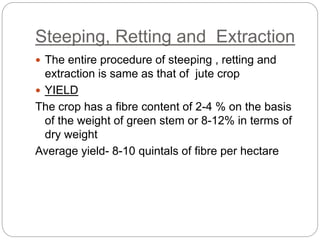 Steeping, Retting and Extraction
 The entire procedure of steeping , retting and
extraction is same as that of jute crop
 YIELD
The crop has a fibre content of 2-4 % on the basis
of the weight of green stem or 8-12% in terms of
dry weight
Average yield- 8-10 quintals of fibre per hectare
 