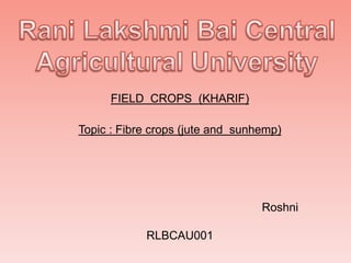 FIELD CROPS (KHARIF)
Topic : Fibre crops (jute and sunhemp)
Roshni
RLBCAU001
 