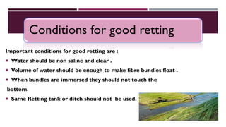 Conditions for good retting
Important conditions for good retting are :
 Water should be non saline and clear .
 Volume of water should be enough to make fibre bundles float .
 When bundles are immersed they should not touch the
bottom.
 Same Retting tank or ditch should not be used.
 