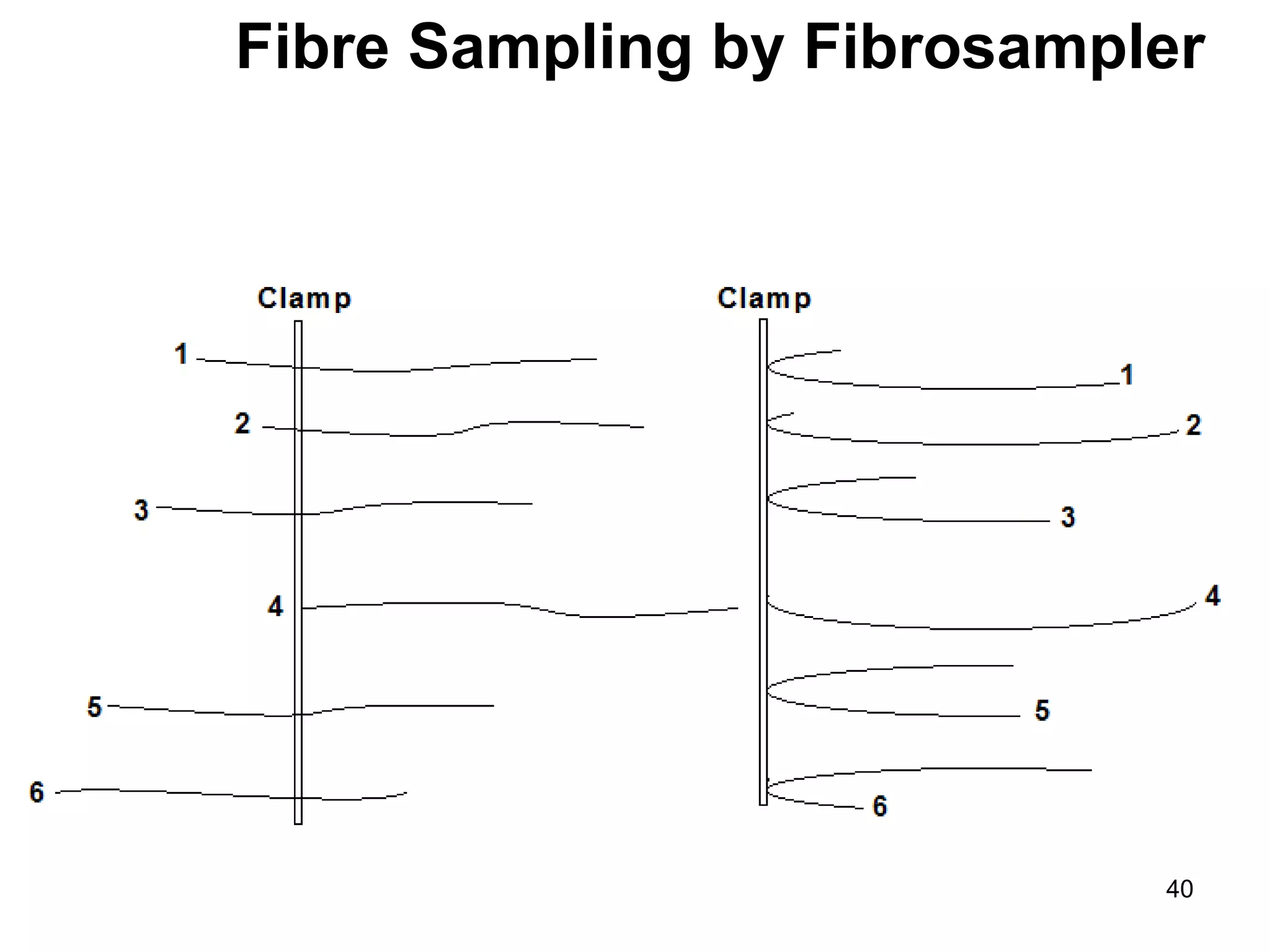 Fibre Length.pdf