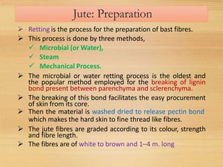 Fibres drugs | PPTX