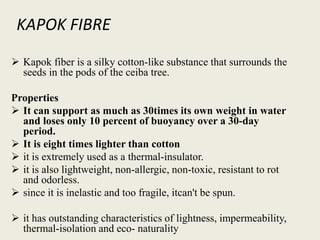 KAPOK FIBRE
 Kapok fiber is a silky cotton-like substance that surrounds the
seeds in the pods of the ceiba tree.
Properties
 It can support as much as 30times its own weight in water
and loses only 10 percent of buoyancy over a 30-day
period.
 It is eight times lighter than cotton
 it is extremely used as a thermal-insulator.
 it is also lightweight, non-allergic, non-toxic, resistant to rot
and odorless.
 since it is inelastic and too fragile, itcan't be spun.
 it has outstanding characteristics of lightness, impermeability,
thermal-isolation and eco- naturality
 