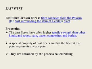 BAST FIBRE
Bast fibre or skin fibre is fibre collected from the Phloem
(the bast surrounding the stem of a certain plant
Properties
 The bast fibres have often higher tensile strength than other
kinds, and ropes, yarn, paper, composites and burlap.
 A special property of bast fibers are that the fiber at that
point represents a weak point.
 They are obtained by the process called retting
 