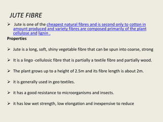 JUTE FIBRE
 Jute is one of the cheapest natural fibres and is second only to cotton in
amount produced and variety fibres are composed primarily of the plant
cellulose and lignin .
Properties
 Jute is a long, soft, shiny vegetable fibre that can be spun into coarse, strong
 It is a lingo -cellulosic fibre that is partially a textile fibre and partially wood.
 The plant grows up to a height of 2.5m and its fibre length is about 2m.
 it is generally used in geo textiles.
 it has a good resistance to microorganisms and insects.
 it has low wet strength, low elongation and inexpensive to reduce
 