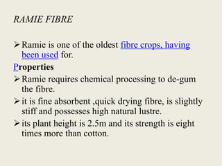 RAMIE FIBRE
Ramie is one of the oldest fibre crops, having
been used for.
Properties
Ramie requires chemical processing to de-gum
the fibre.
it is fine absorbent ,quick drying fibre, is slightly
stiff and possesses high natural lustre.
its plant height is 2.5m and its strength is eight
times more than cotton.
 
