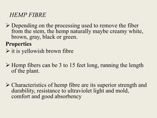 HEMP FIBRE
 Depending on the processing used to remove the fiber
from the stem, the hemp naturally maybe creamy white,
brown, gray, black or green.
Properties
 it is yellowish brown fibre
 Hemp fibers can be 3 to 15 feet long, running the length
of the plant.
 Characteristics of hemp fibre are its superior strength and
durability, resistance to ultraviolet light and mold,
comfort and good absorbency
 