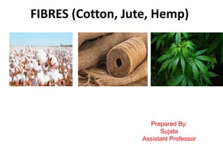 FIBRES (Cotton, Jute, Hemp)
Prepared By:
Sujata
Assistant Professor
 