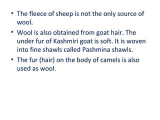 • The fleece of sheep is not the only source of
wool.
• Wool is also obtained from goat hair. The
under fur of Kashmiri goat is soft. It is woven
into fine shawls called Pashmina shawls.
• The fur (hair) on the body of camels is also
used as wool.
 