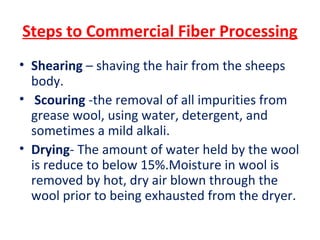 Steps to Commercial Fiber Processing
• Shearing – shaving the hair from the sheeps
body.
• Scouring -the removal of all impurities from
grease wool, using water, detergent, and
sometimes a mild alkali.
• Drying- The amount of water held by the wool
is reduce to below 15%.Moisture in wool is
removed by hot, dry air blown through the
wool prior to being exhausted from the dryer.
 