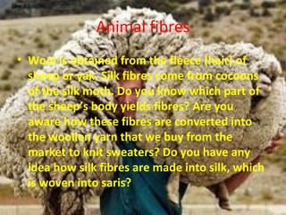 Animal fibres
• Wool is obtained from the fleece (hair) of
sheep or yak. Silk fibres come from cocoons
of the silk moth. Do you know which part of
the sheep’s body yields fibres? Are you
aware how these fibres are converted into
the woollen yarn that we buy from the
market to knit sweaters? Do you have any
idea how silk fibres are made into silk, which
is woven into saris?
 
