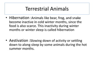 Terrestrial Animals
• Hibernation :Animals like bear, frog, and snake
become inactive in cold winter months, since the
foo...