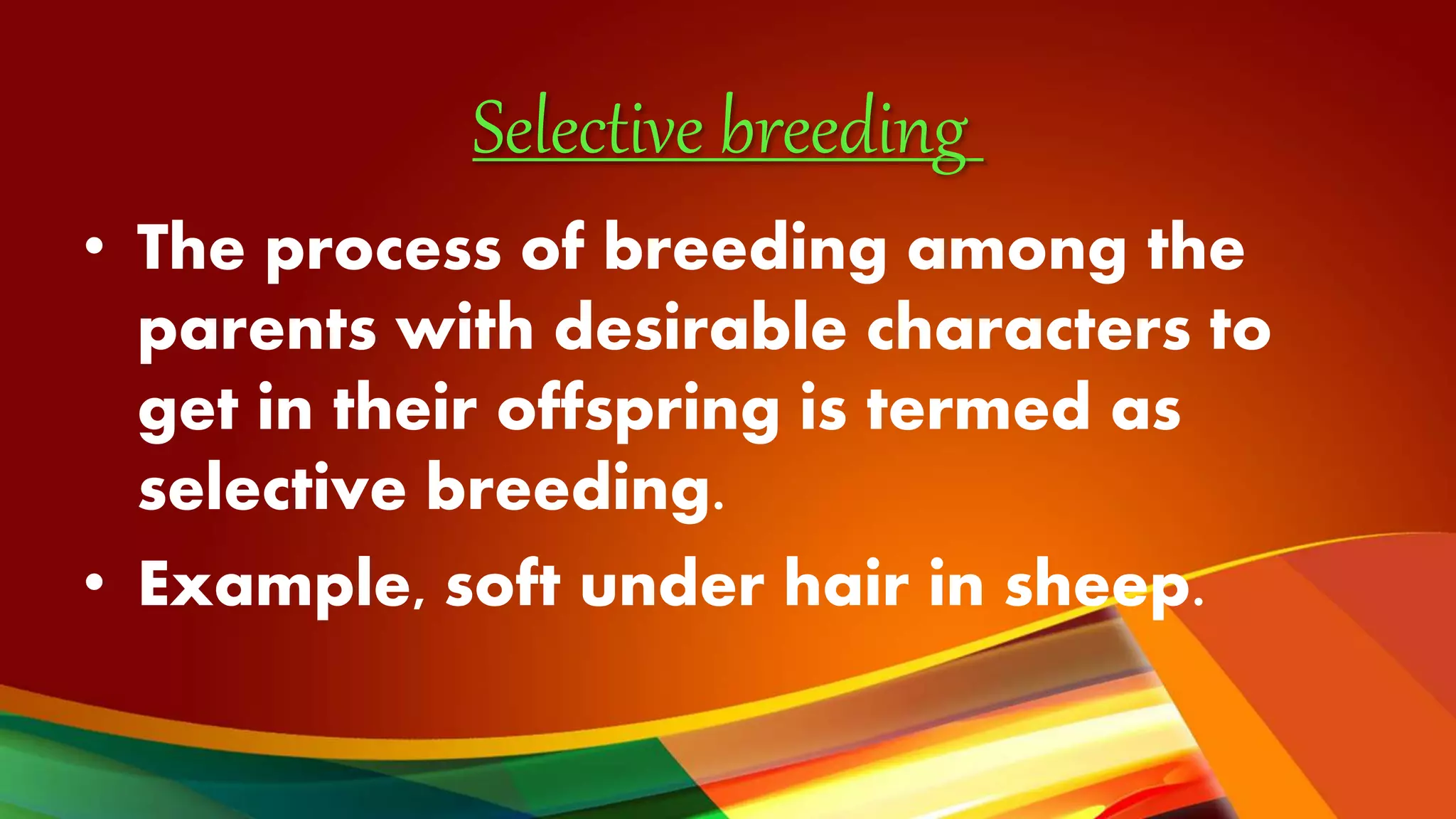 Selective breeding
• The process of breeding among the
parents with desirable characters to
get in their offspring is termed as
selective breeding.
• Example, soft under hair in sheep.
 