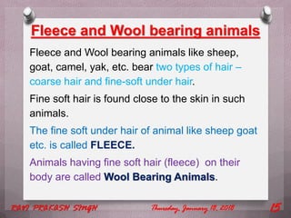 Fleece and Wool bearing animals
Fleece and Wool bearing animals like sheep,
goat, camel, yak, etc. bear two types of hair –
coarse hair and fine-soft under hair.
Fine soft hair is found close to the skin in such
animals.
The fine soft under hair of animal like sheep goat
etc. is called FLEECE.
Animals having fine soft hair (fleece) on their
body are called Wool Bearing Animals.
Thursday, January 18, 2018RAVI PRAKASH SINGH 15
 