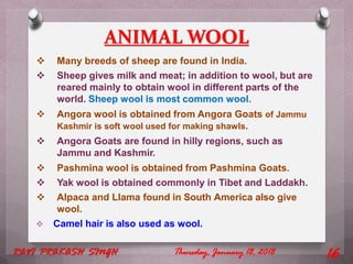 ANIMAL WOOL
 Many breeds of sheep are found in India.
 Sheep gives milk and meat; in addition to wool, but are
reared mainly to obtain wool in different parts of the
world. Sheep wool is most common wool.
 Angora wool is obtained from Angora Goats of Jammu
Kashmir is soft wool used for making shawls.
 Angora Goats are found in hilly regions, such as
Jammu and Kashmir.
 Pashmina wool is obtained from Pashmina Goats.
 Yak wool is obtained commonly in Tibet and Laddakh.
 Alpaca and Llama found in South America also give
wool.
 Camel hair is also used as wool.
Thursday, January 18, 2018RAVI PRAKASH SINGH 16
 