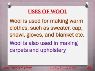 USES OF WOOL
Wool is used for making warm
clothes, such as sweater, cap,
shawl, gloves, and blanket etc.
Wool is also used in making
carpets and upholstery
Thursday, January 18, 2018RAVI PRAKASH SINGH 24
 