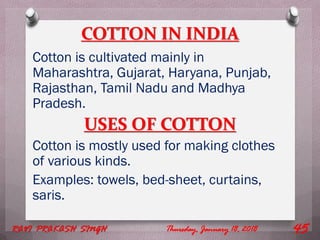 COTTON IN INDIA
Cotton is cultivated mainly in
Maharashtra, Gujarat, Haryana, Punjab,
Rajasthan, Tamil Nadu and Madhya
Pradesh.
USES OF COTTON
Cotton is mostly used for making clothes
of various kinds.
Examples: towels, bed-sheet, curtains,
saris.
Thursday, January 18, 2018RAVI PRAKASH SINGH 45
 